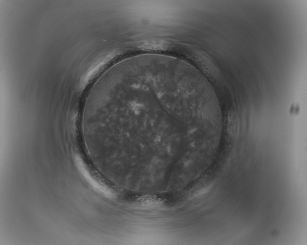 X0000112830491200908211220