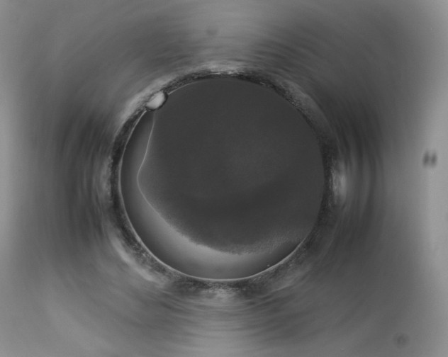 X0000112830492200908211220