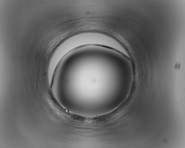 X0000112830493200908211220