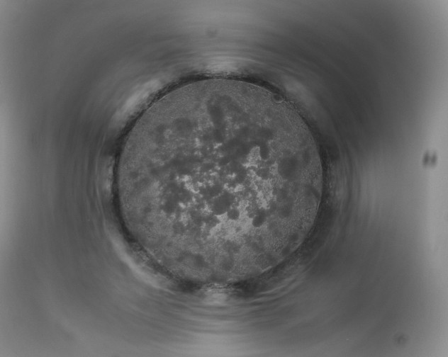 X0000112830495200908211220