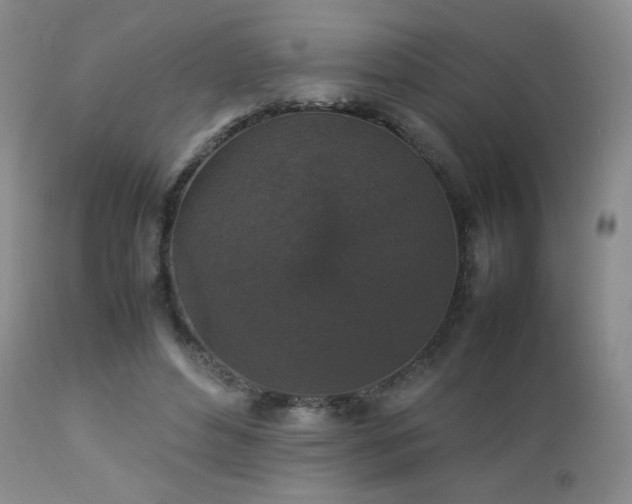 X0000112830496200908211220