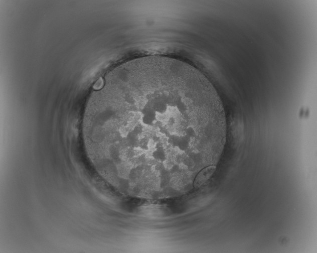 X0000112830499200908211220