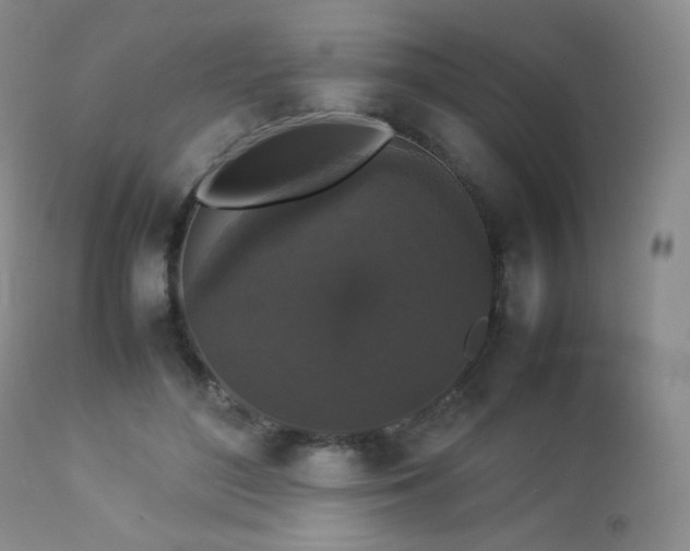 X0000112830500200908211220