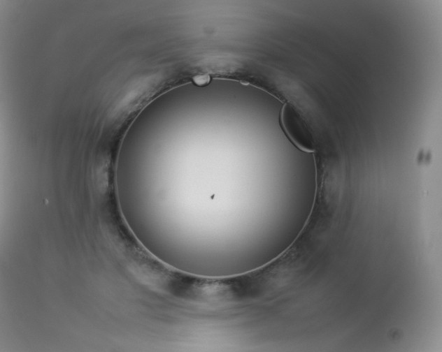 X0000112830501200908211220