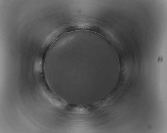 X0000112830502200908211220