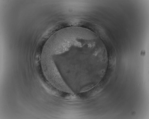 X0000112830503200908211220