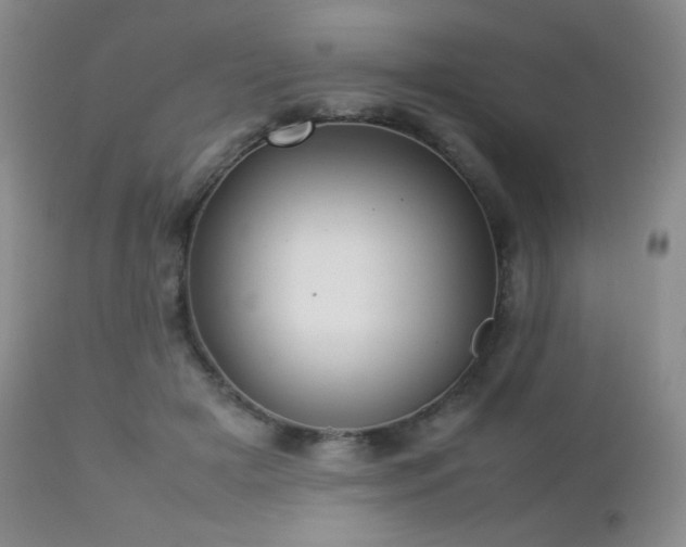 X0000112830505200908211220