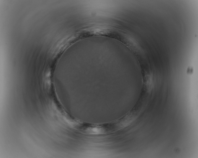 X0000112830506200908211220