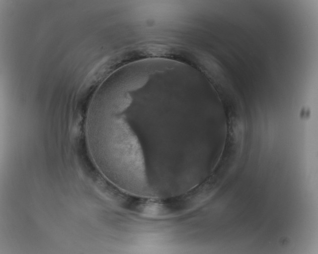 X0000112830507200908211220