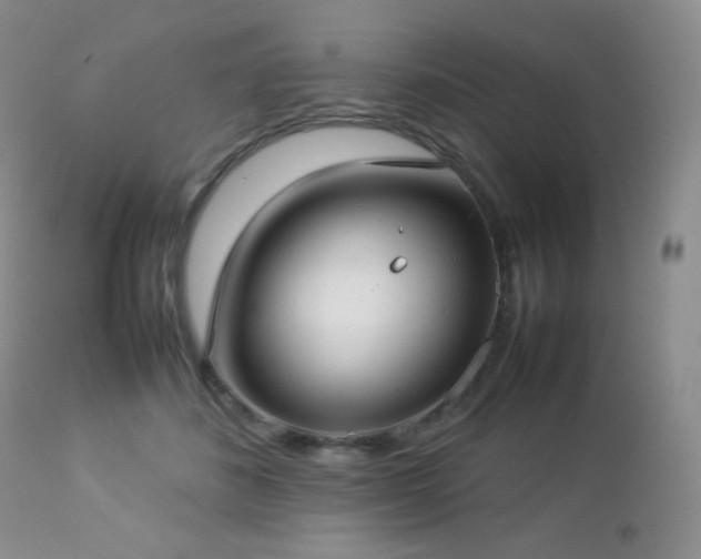 X0000112830508200908211220