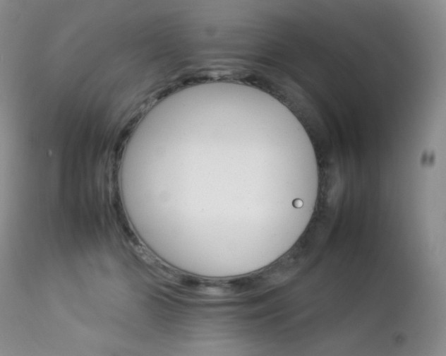 X0000112830510200908211220