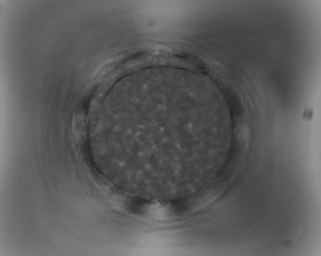 X0000112830511200908211220