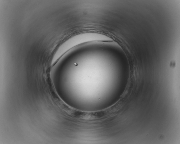 X0000112830512200908211220