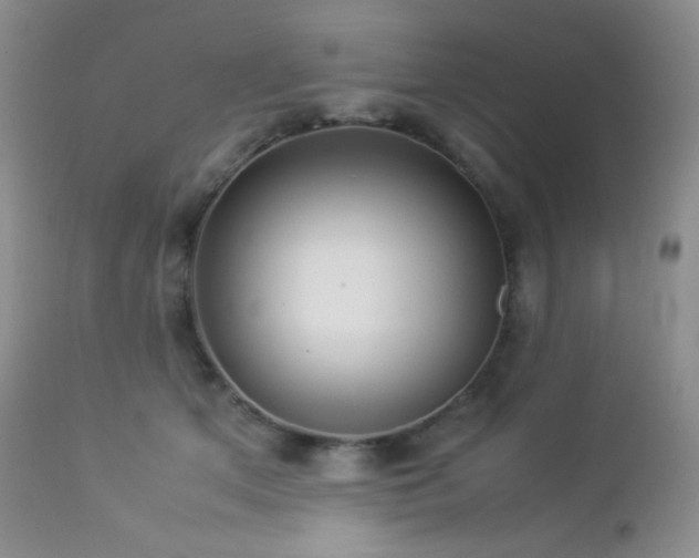 X0000112830513200908211220