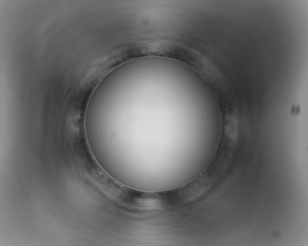 X0000112830514200908211220