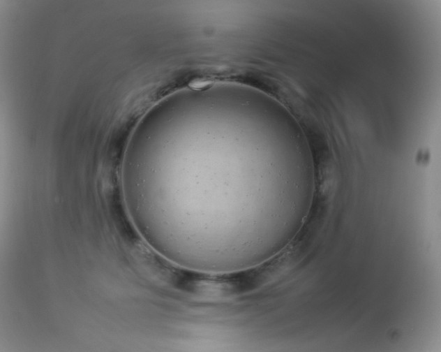 X0000112830515200908211220