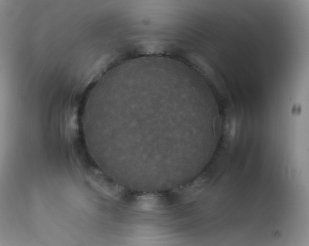 X0000112830516200908211220