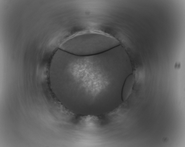 X0000112830517200908211220