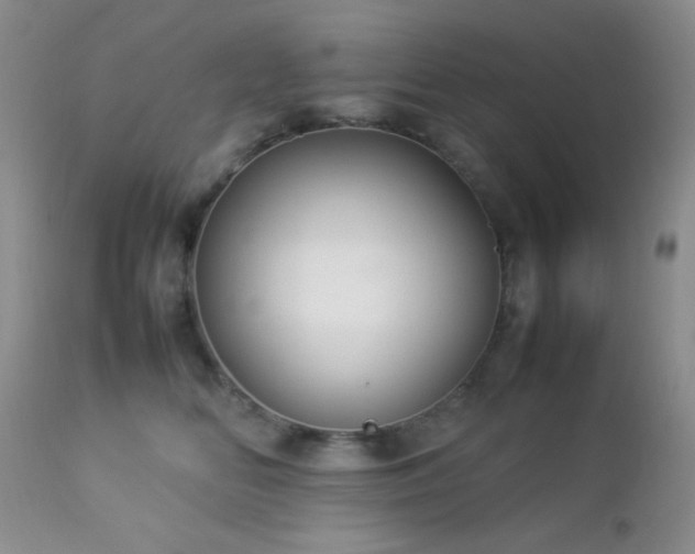 X0000112830518200908211220