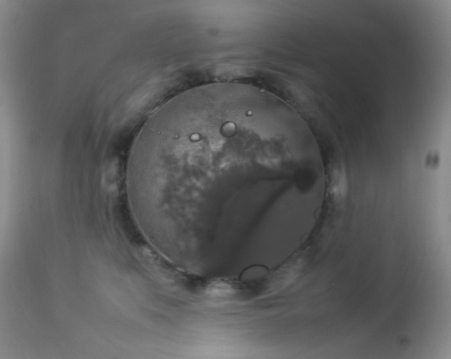 X0000112830519200908211220