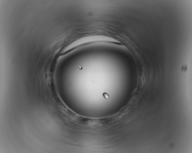 X0000112830520200908211220