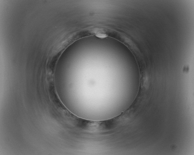 X0000112830521200908211220