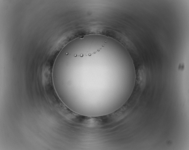 X0000112830522200908211220