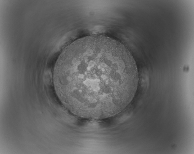 X0000112830523200908211220