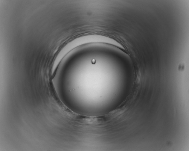 X0000112830524200908211220