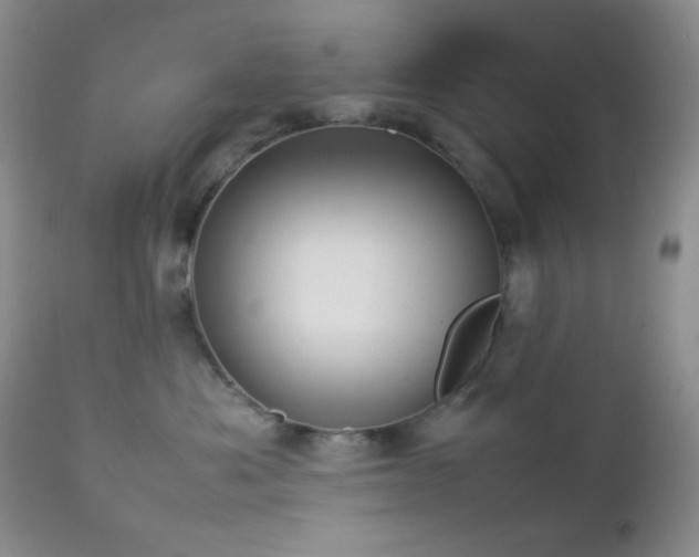 X0000112830525200908211220