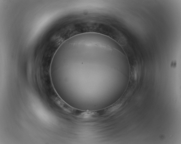 X0000112830526200908211220