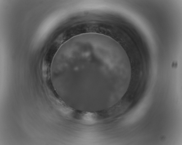 X0000112830527200908211220