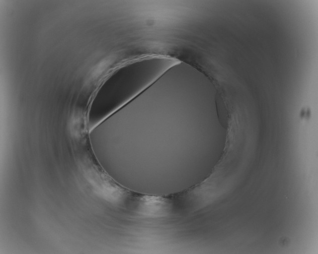 X0000112830528200908211220