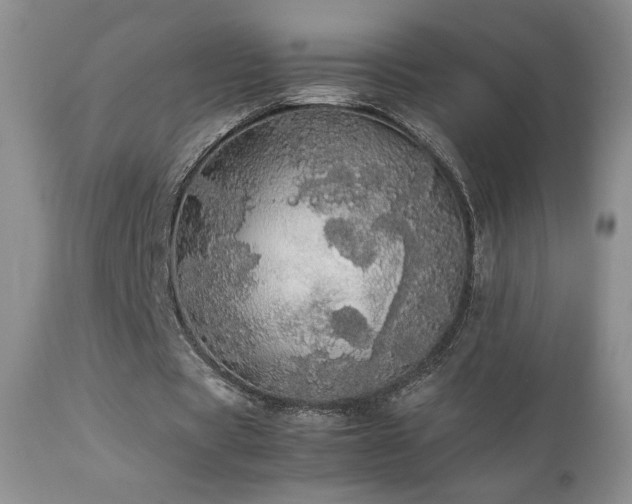 X0000112830529200908211219