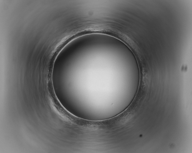 X0000112830530200908211219