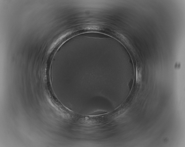 X0000112830531200908211219