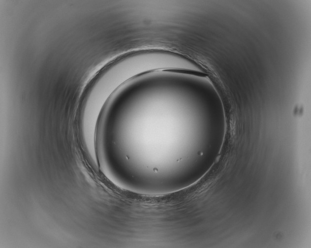 X0000112830532200908211219