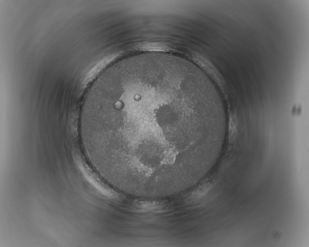 X0000112830533200908211219