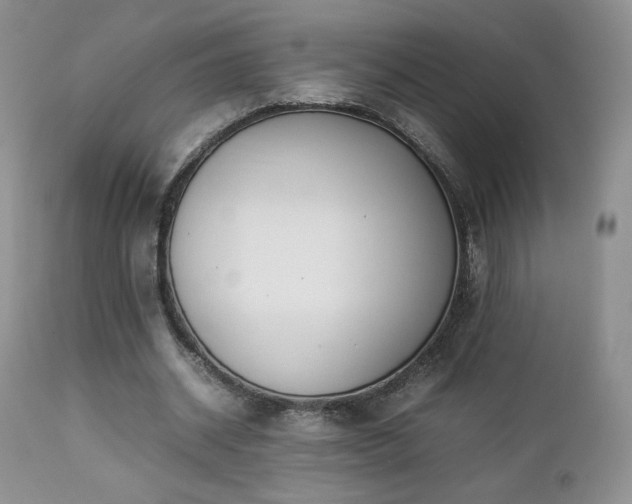 X0000112830534200908211219