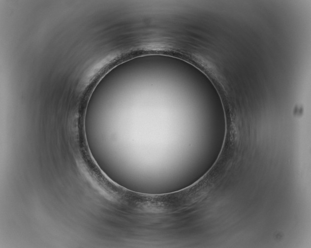 X0000112830535200908211219