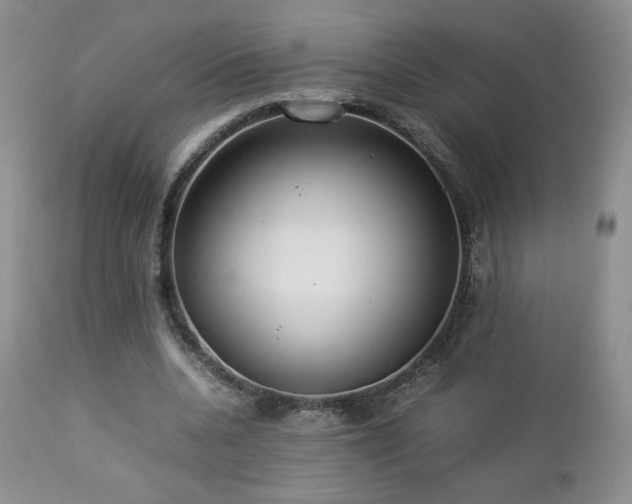 X0000112830536200908211219