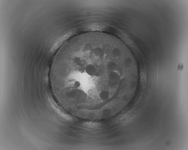 X0000112830537200908211219