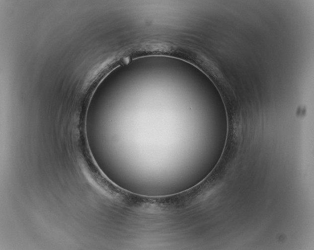 X0000112830538200908211219