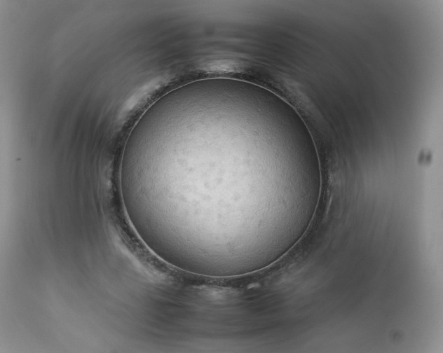 X0000112830539200908211219