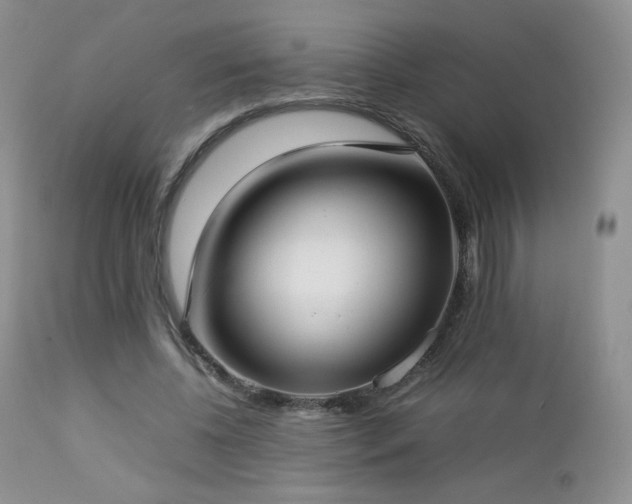 X0000112830540200908211219