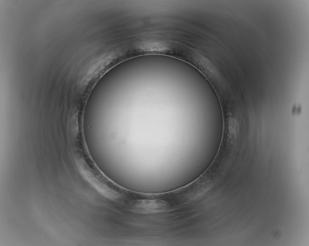 X0000112830541200908211219