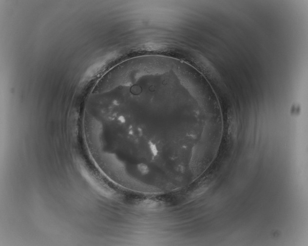 X0000112830542200908211219