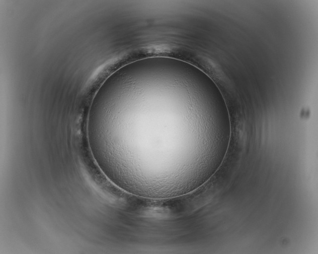 X0000112830543200908211219