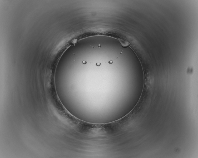 X0000112830544200908211219