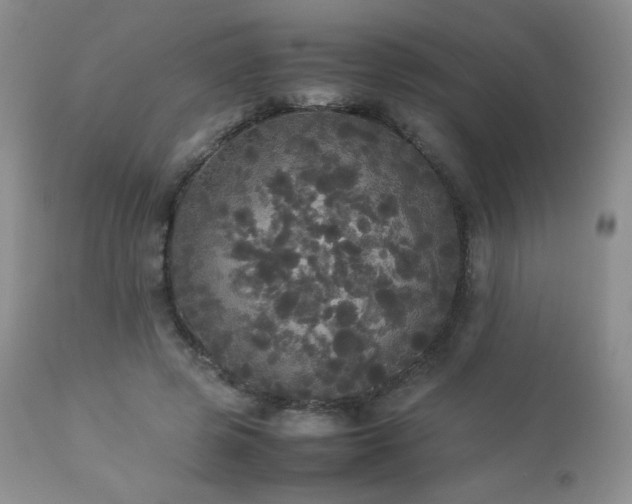 X0000112830545200908211219